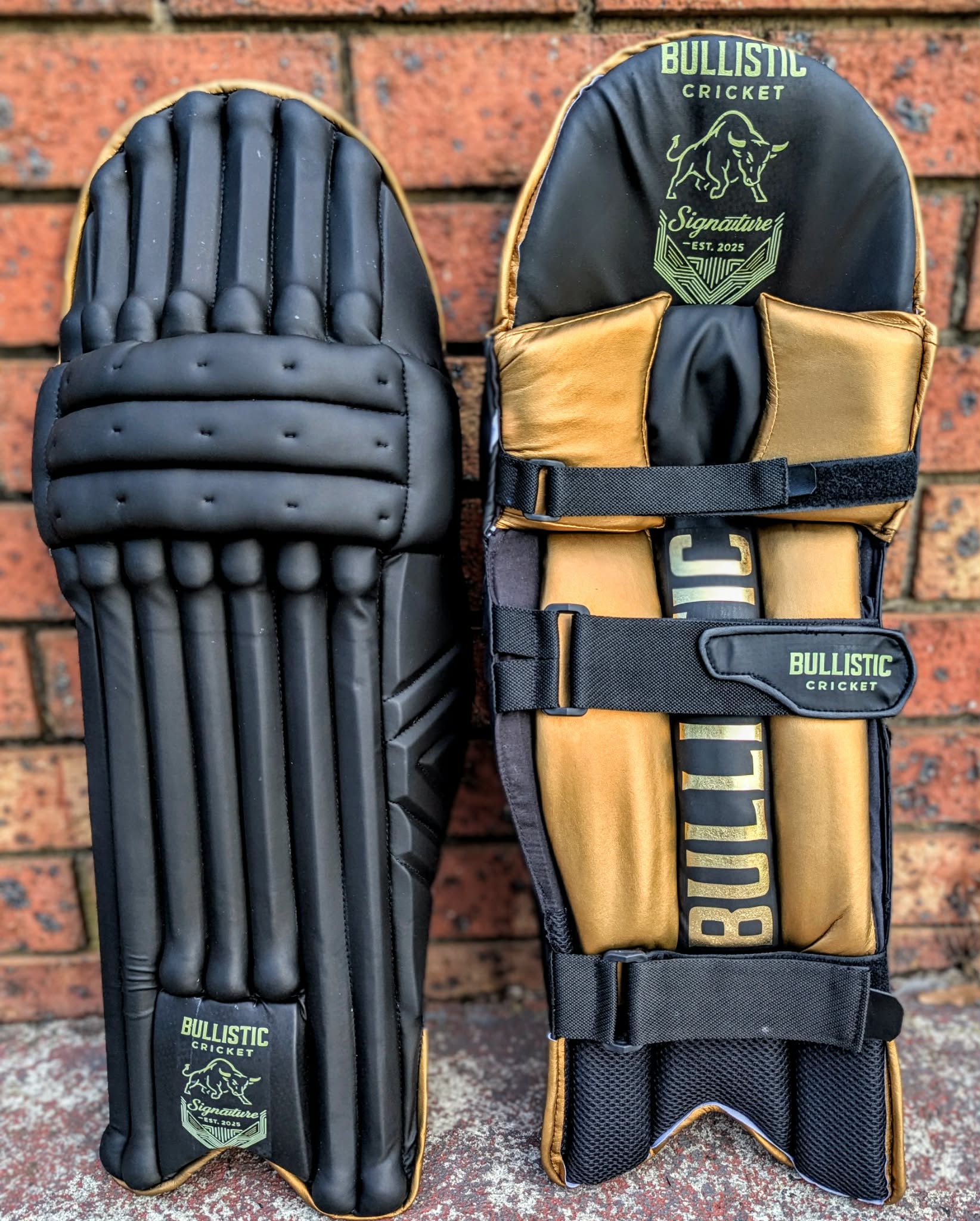 Bullistic Signature Batting Pads - Black & Gold