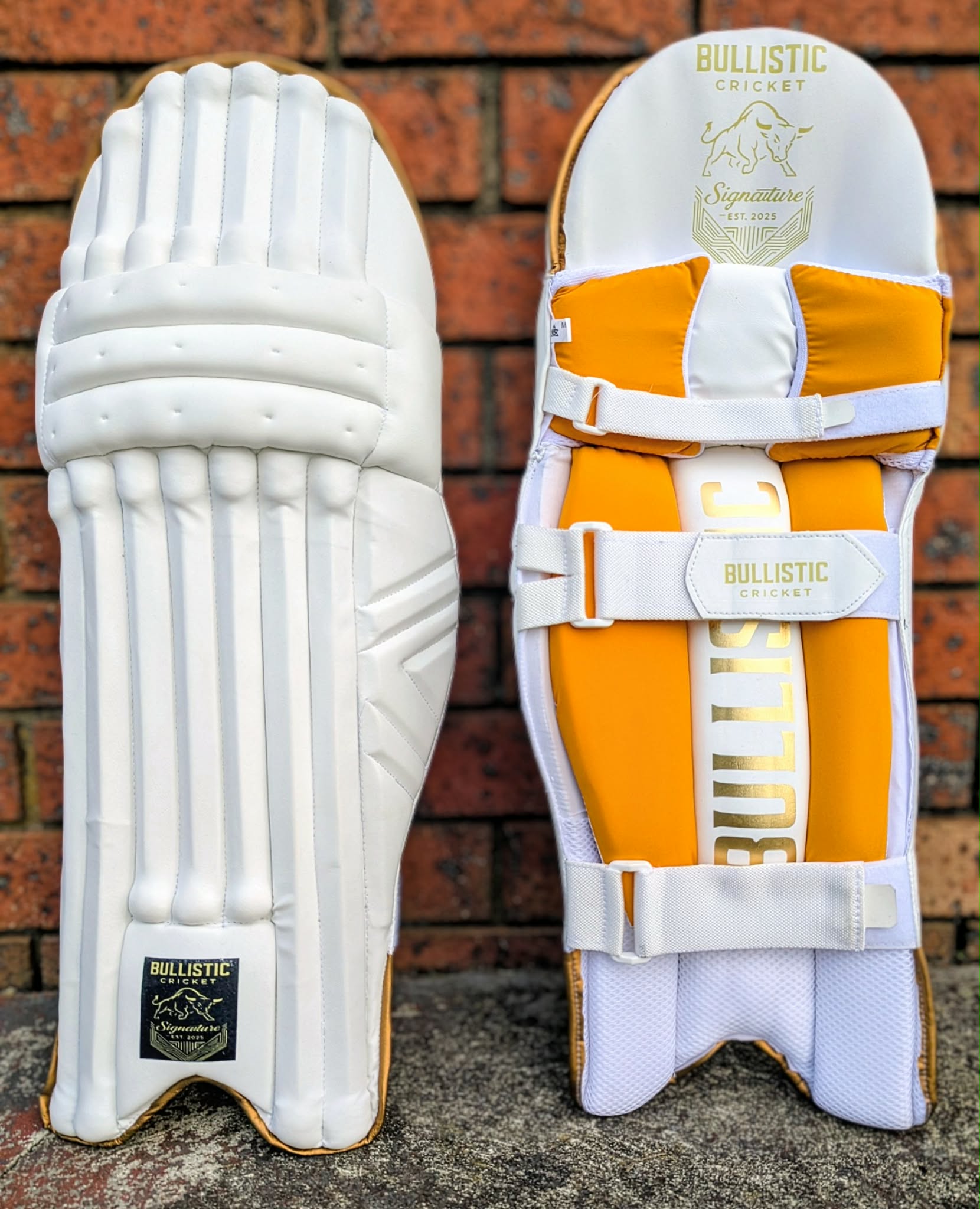 Bullistic Signature Batting Pads – White & Gold